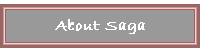About Saga